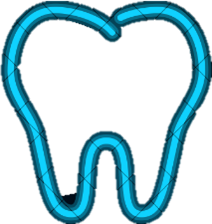 teeth